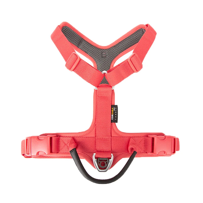 Small Combination - Kleurrijk Reflecterend Anti-Trek Hondentuigje